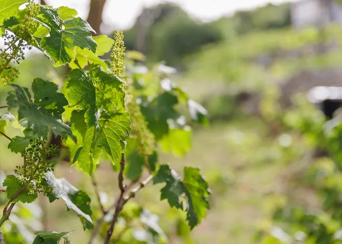 Villa Oros Strinilas