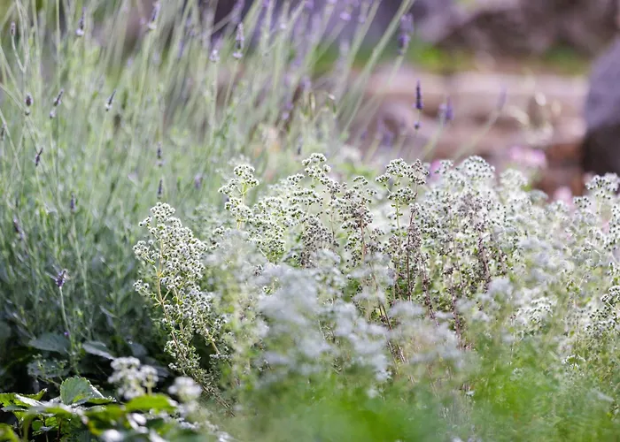 Oros Villa Strinilas